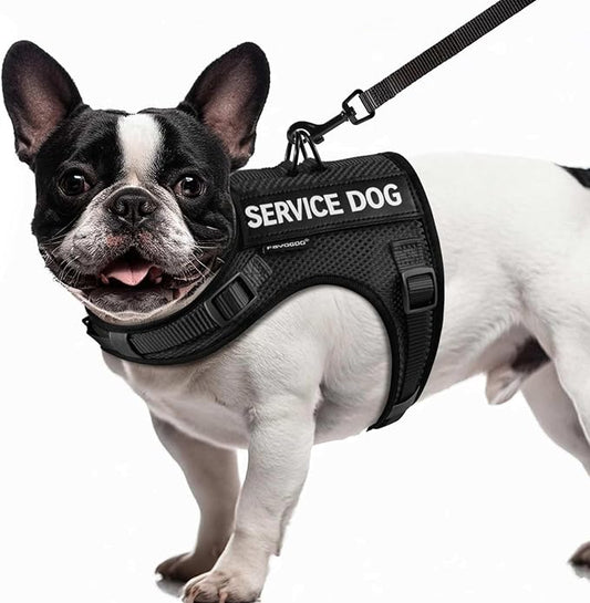 FAYOGOO Service Dog Vest for Small Dogs - Air Mesh Breathble Emotional Support Animal Vest with DIY Patches - Puppy Harness and Leash Set Adjustable Neck and Chest