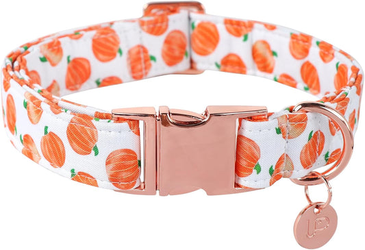 Halloween Dog Collar with Metal Buckle Gift Fall Dog Collar for Small Medium Large Girls or Boys Dogs Cute Pumpkin Cotton Pet Collars
