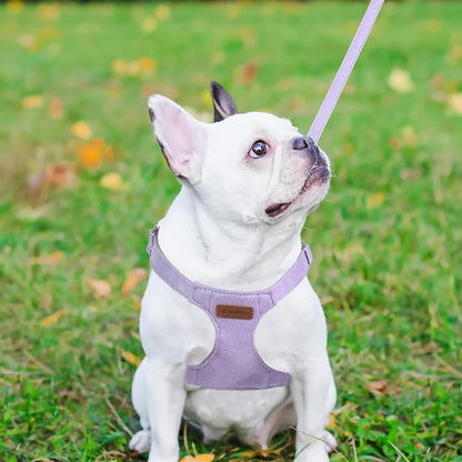 Dog Harness and Leash Set, XXS No Pull Adjustable Puppy Harness with Multifunction Purple Dog Leash and Collar, Soft No Choke Escape Proof Pet Harness Vest for Small Dogs and Cats (Purple, XXS)