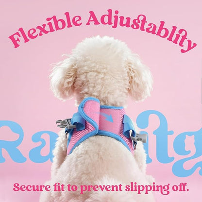 rabbitgoo Dog Harness Small Sized and Leash Set, Step-in Breathable Pet Harness, Soft Walking Reflective Puppy Vest for Small Dogs, Pink & Light Blue, XS