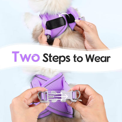 Dooradar Cat Harness and Leash Set, Escape Proof Lightweight Kitten Harness, Soft Breathable Reflective Vest for Outdoor Walking Traveling, Adjustable for Large Cats, Grey & Purple, L