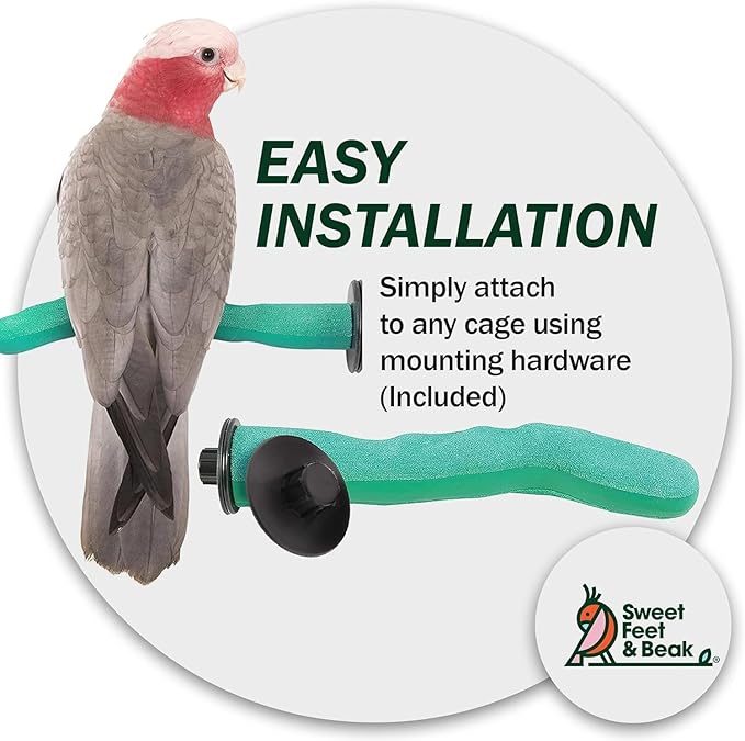 Sweet Feet and Beak Safety Pumice Perch - Trims Nails and Beak - Promotes Healthy Feet - Safe Non-Toxic Bird Supplies for Bird Cages - X-Large 14"