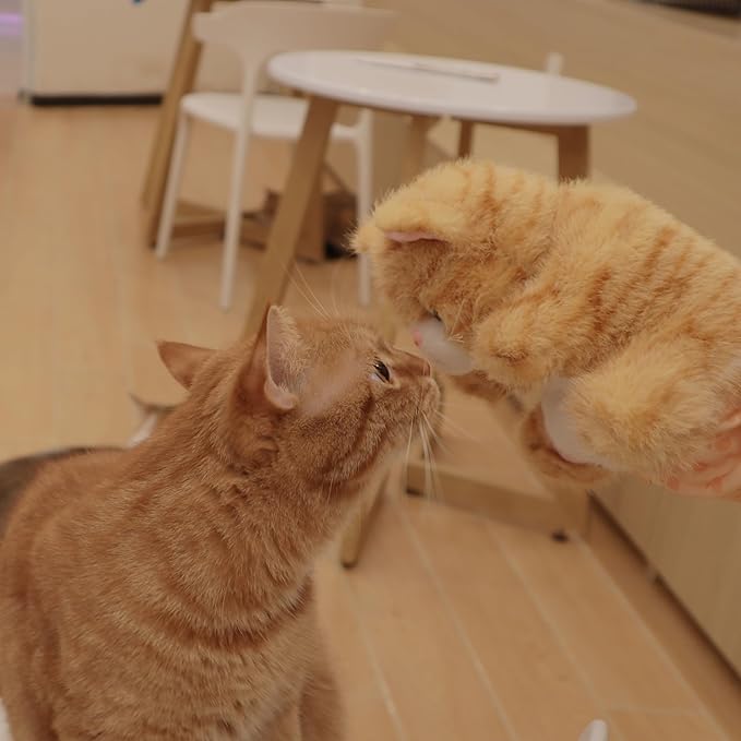 Realistic Cat Wrestling Glove Toy – Interactive Hand Toy with Lifelike Design, Soft Short Plush, Flexible Finger Control & Full Arm Protection – Quality Safe Cat Play & Snuggle Companion