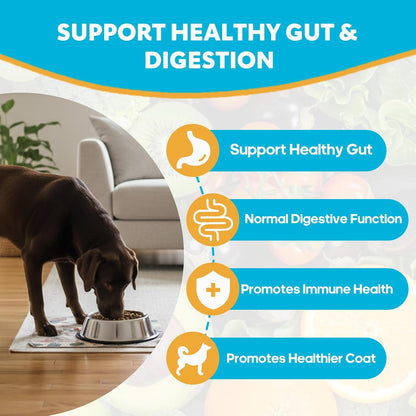 Probiotics for Dogs, Dog Probiotics with Digestive Enzymes with and Prebiotics for Support Gut & Digestion Health, Immune Support, Reduce Diarrhea, 120 Capsules