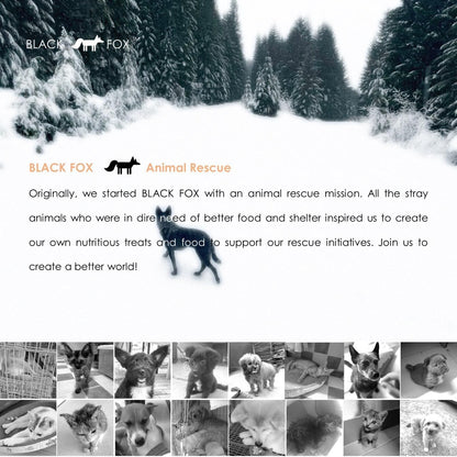 BLACK FOX Freeze-Dried Salmon Training Treats for Dogs and Cats | 280 Treats, 4oz Single Ingredient, Raw, Healthy, All Natural, Human Grade, Recyclable Packaging