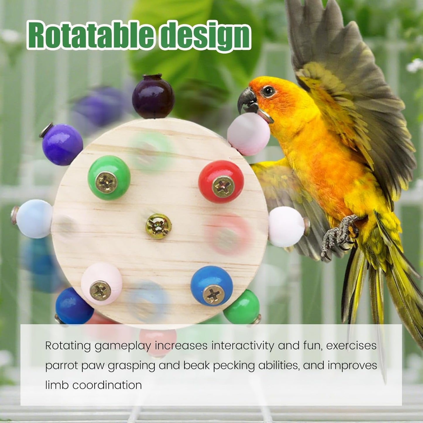 Bird Spinner Toys for Parrots with Bells,Natural Wood Parakeet Toys for Cage,Bird Cage Accessories Chewing Hanging for Small and Medium Birds,Cockatiel,Conure,Lovebird,Budgie,Quaker（2pcs）
