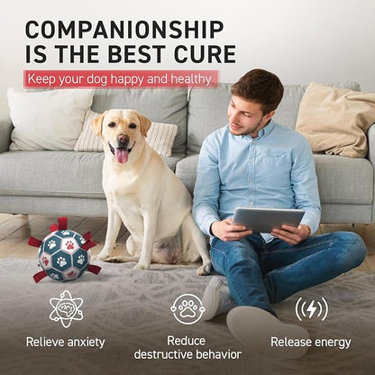 QDAN Premium Dog Balls Toys, Pet Training Soccer Ball with Straps, Puppy Birthday Gifts, Dog Water Toy, Durable Herding Balls for Small Medium Dogs, Pet Toys Puppy Ball (6 Inch)