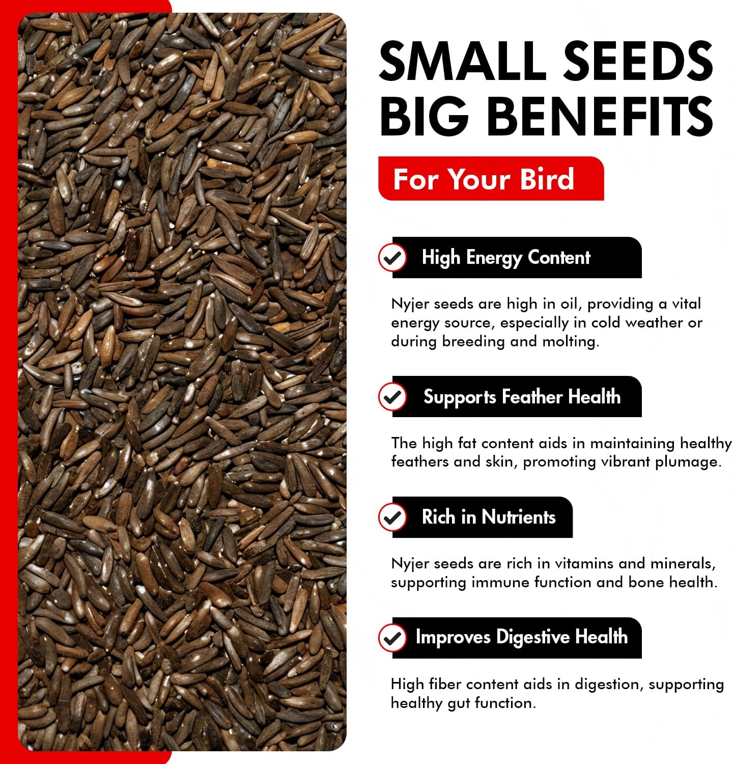 Morning Bird Nyjer Seed for Birds 4.5 lbs (3-Pack, 1.5 lbs Each)– Energizing Nutrition with Rich in Vitamins and Supplements – Ideal Bird Food for Breeding & Molting – Finch Seed for All Birds