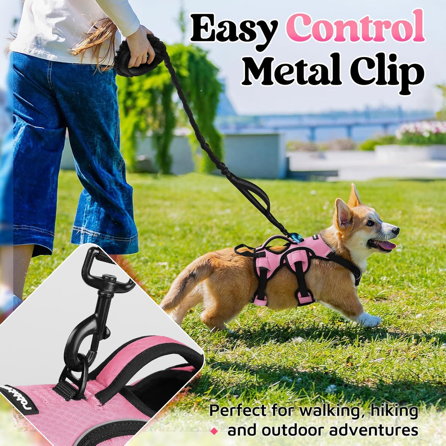 rabbitgoo Escape Proof Dog Harness Small Sized Dog, Soft Padded Full Body Pet Harness, Reflective Adjustable Vest with Lift Handle and Leash Clip for Walking Hiking Training, Light Pink, S
