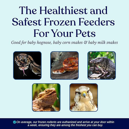 MiceDirect EST. 2003 200 Frozen Mice Pinkie Feeders Snake Food for Corn Ball Pythons Lizards (.5-1 in) (400 Grams Min)