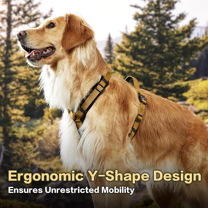 PawsPassion Dog Harness for X-Large Dogs, No Pull Dog Harness Easy Walk with Metal Hardware, Ergonomic Y-Shaped Design, Soft Padding, Padded Handle, Durable High-Tensile Nylon (Sunrise, XL)