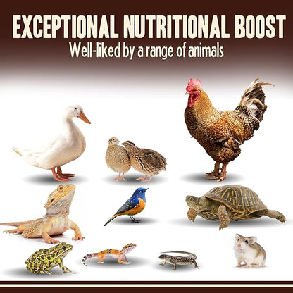 Dried Mealworms for Chickens, Birds, Hamster, Reptile and Turtle - Premium Non-GMO Treats with 55% Protein for Laying Hens - Organic Food for Wild Bird, Bluebirds, Robins, Cardinals. 5 Lb