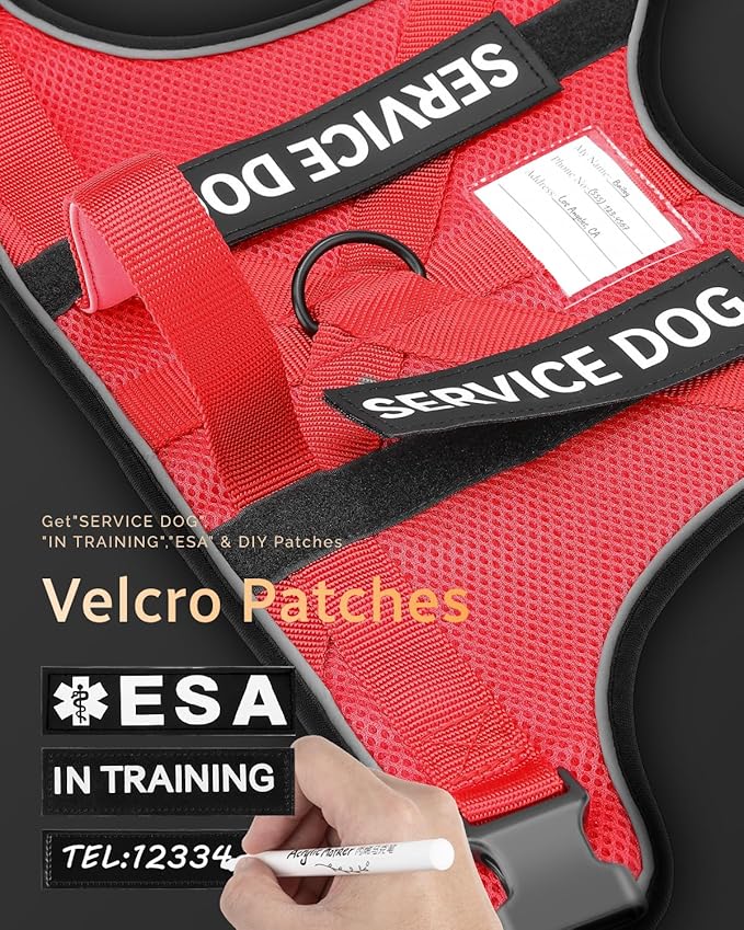 FAYOGOO Service Dog Vest for Large Dogs - Air Mesh Breathble Emotional Support Animal Vest with DIY Removable Patches - Dog Harness and Leash Set Adjustable Neck and Chest(Red,XXL)