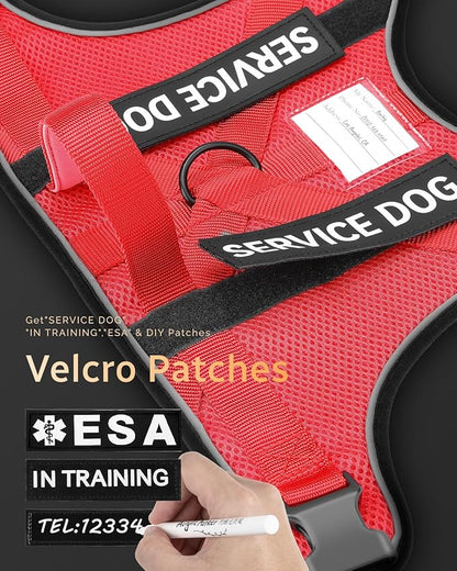 FAYOGOO Service Dog Vest for Large Dogs - Air Mesh Breathble Emotional Support Animal Vest with DIY Removable Patches - Dog Harness and Leash Set Adjustable Neck and Chest(Red,XXL)