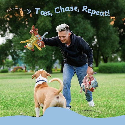 Nocciola Stuffless Squeaky Dog Toys 5 Pack, Body No Stuffing Small Dog Toy Variety Colors Animal Plush Puppy Toys with Squeaker Crinkle Sound to Keep Them Busy