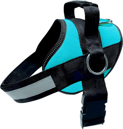 Joyride Basic Essential Dog Harness 1.0 - Small, Medium, Large Dogs, No-Pull Pet Vest with 3 Side Rings for Leash Placement, Adjustable for Training (Teal, XS)