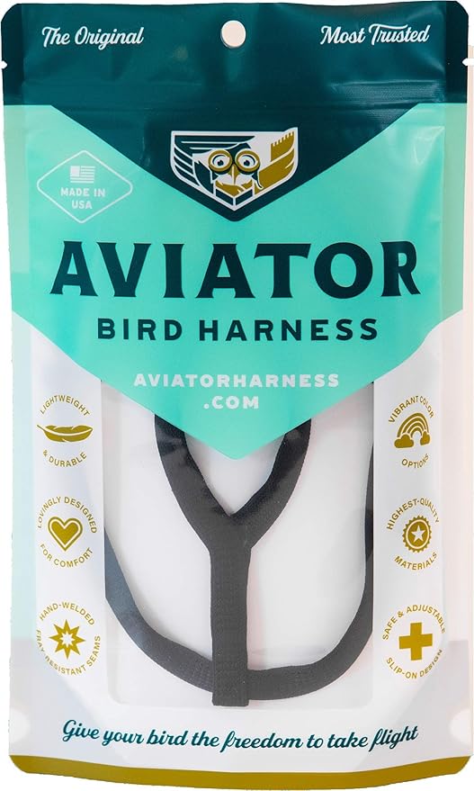 The AVIATOR Pet Bird Harness and Leash: Small Black