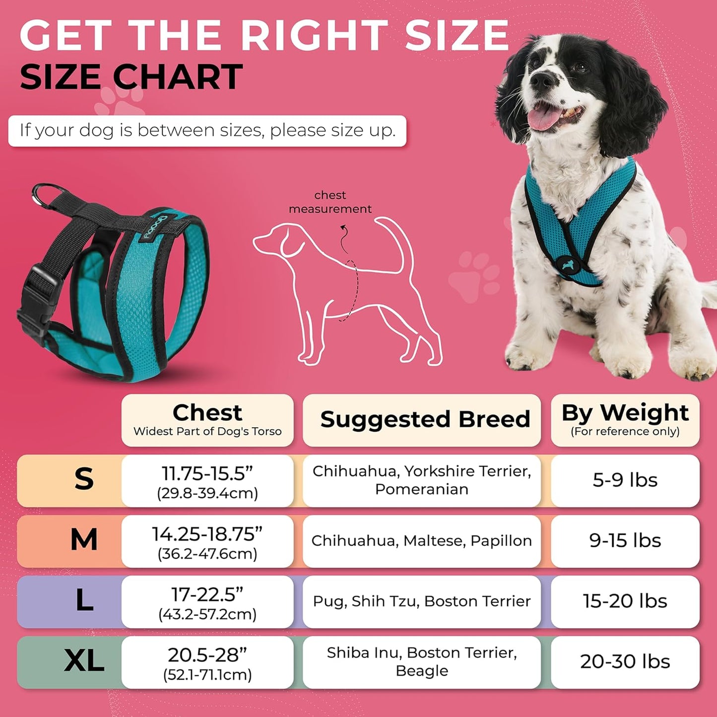 Gooby Comfort X Head in Harness - Turquoise, X-Large - No Pull Small Dog Harness, Patented Choke-Free X Frame - On The Go Dog Harness for Medium Dogs No Pull, Small Dogs for Indoor and Outdoor Use