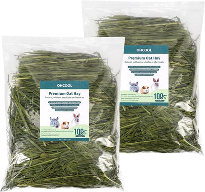 Premium Oat Hay for Pets - Dust Free Natural Green Fresh Pet Food Hay for Rabbits, Guinea Pigs, Chinchillas, Hamsters & Gerbils - 2.2lbs (2 packs of 1.1lbs）
