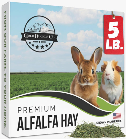 5lb Farm Fresh, USA Grown, Organic Alfalfa Hay for Rabbits, Guinea Pigs, Chinchillas, Goats, Hamsters & Ferrets - Small Animal Food Rich in Protein & Fiber - Just Dried, Hand-Selected