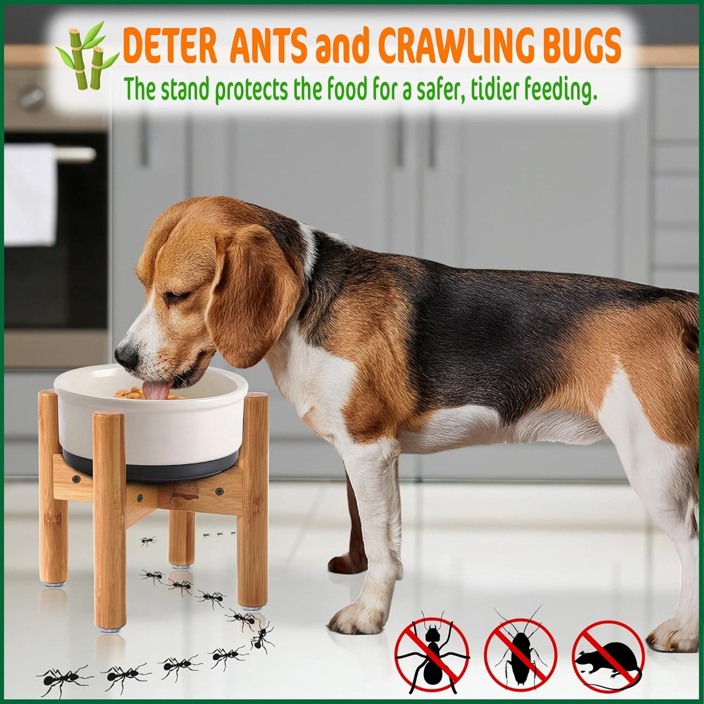 Dog Bowl Stand (9-inch Tall) for Medium Breeds - Use to Raise, Elevate Dog Food/Water Single Bowls and Feeders, Adjustable - Bamboo