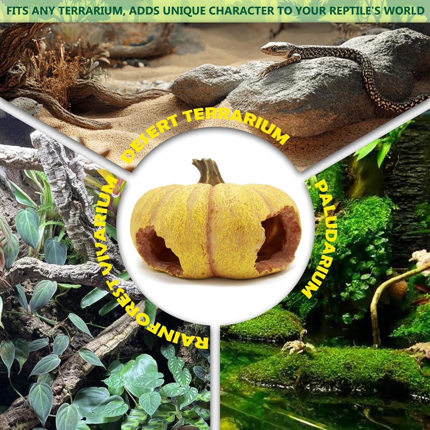 Pumpkin Leopard Gecko Hide Reptile Bearded Dragon Tank Hideout Caves Accessories Halloween Turtle Lizard Snake Décor Amphibian Habitat Tortoise Terrarium Decoration