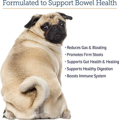 Rx Vitamins NutriGest Capsules for Cats & Dogs - Probiotics for Digestive Health Enhanced with Glucosamine for Gut Health Support - Helps with Constipation Relief and Anti Diarrhea - 90 Capsules