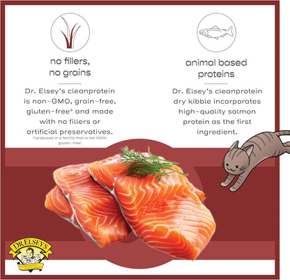 Dr. Elsey's cleanprotein Original Salmon Recipe Wet Cat Food 5.3 oz (Pack of 24)