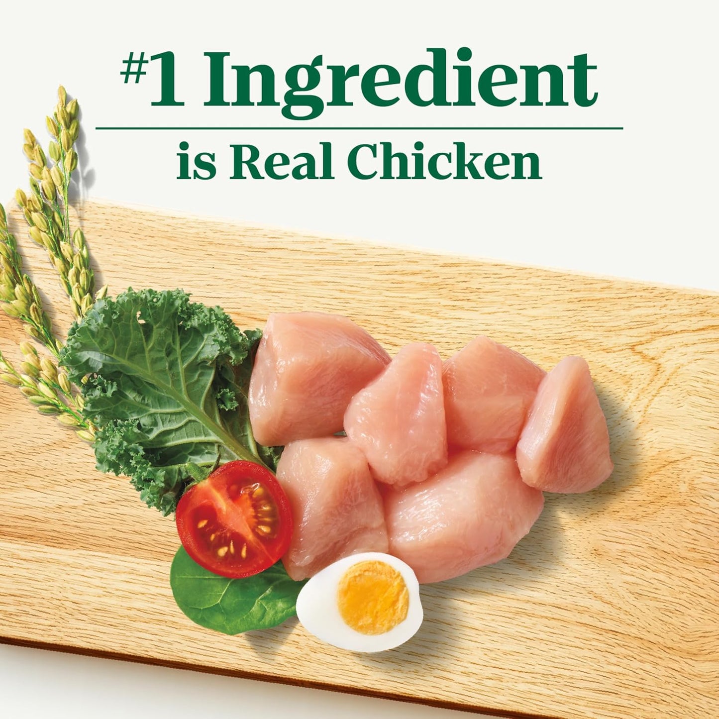 Nutro Natural Choice Chicken & Brown Rice Adult Dry Dog Food Recipe, 36 lb. Bag