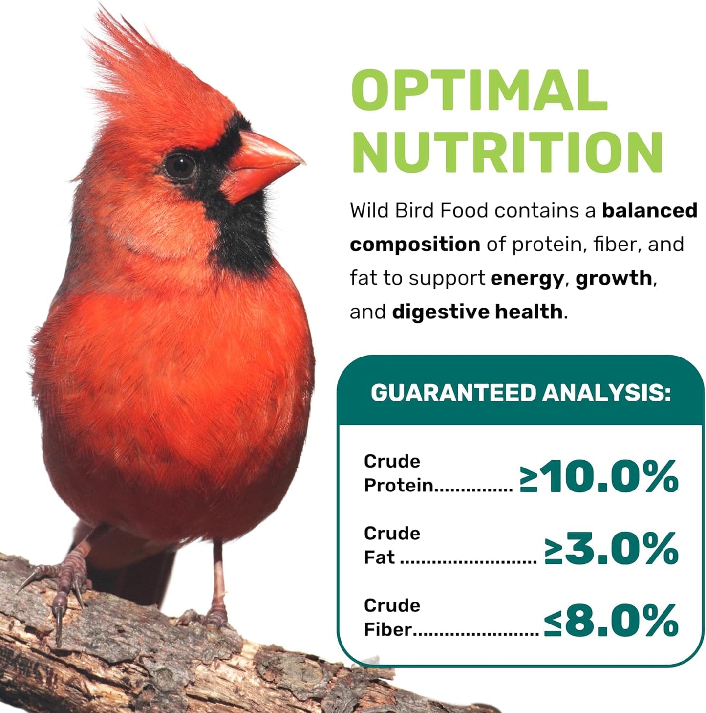 Wild Bird Seed 5 Lbs, Premium Mixed Wild Birdseeds, Nut Free Mix Feed, Nutrient-Rich Birdseeds, Supports Daily Energy Growth & Healthy Balanced Diet, Bird Seed for Outside Feeders