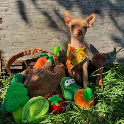 Nocciola Small Squeaky Crinkle Dog Toys- 15 Packs Grocery Basket Fruits Veggies Puppy Toys to Keep Busy, Cute Durable Plush Stuffed Hide Seek Cognitive Boredom Pet Supplies, Dog Birthday Gifts