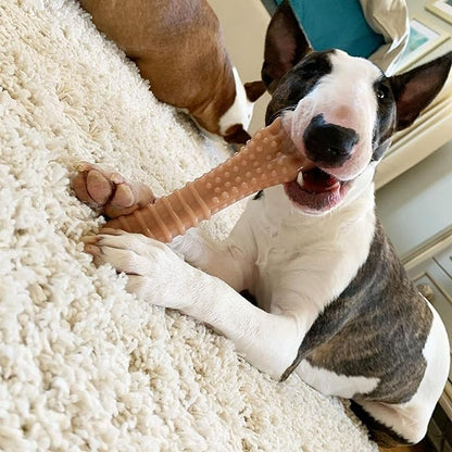 Nylabone Textured Knuckle Bone Power Chew Toy for Dogs, Durable & Tough Dog Toys for Aggressive Chewers, Bacon Flavor, X-Large - 50+ lbs, 1 Count