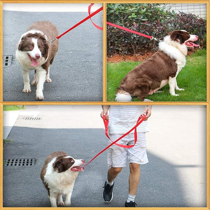 AMAGOOD 6 FT Puppy/ Dog Leash, Strong and Durable Traditional Style Leash with Easy to Use Collar Hook, Great for Small, Medium and Large Dogs (1 in x 6 ft, Red)