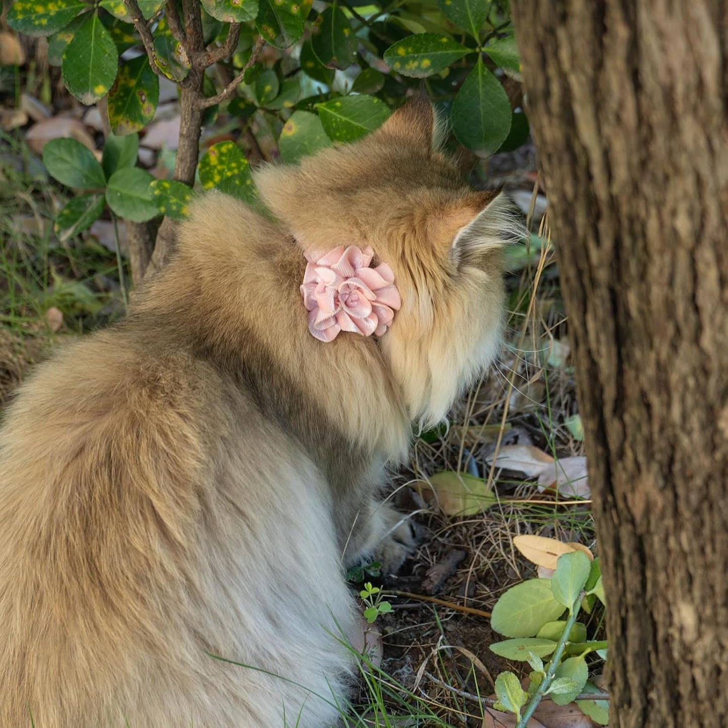 azuza 2 Pack Cat Collar Floral with Bell and Removable Flower Bowtie Breakaway Adjustable Velvet Fabric Cat Collar for Pets and Daily Decoration, Light Pink & Dark Pink