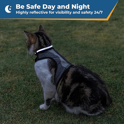 GoTags Personalized Reflective Cat Collars, Engraved Custom Cat Collar with Name and Phone Identification, Breakaway Collar with Safety Release Buckle and Bell, Adjustable for Cats and Kitten, (Black)