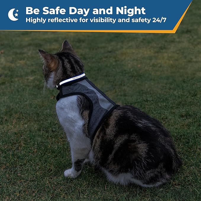 GoTags Personalized Reflective Cat Collars, Engraved Custom Cat Collar with Name and Phone Identification, Breakaway Collar with Safety Release Buckle and Bell, Adjustable for Cats and Kitten, (Red)