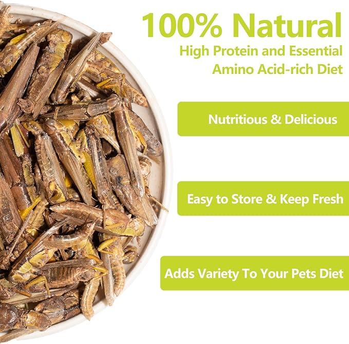Freeze Dried Grasshoppers – 4.5 Oz High Protein Freeze Dried Grasshoppers for Reptiles, Food for Bearded Dragons Lizards, Geckos, Birds, Hedgehogs