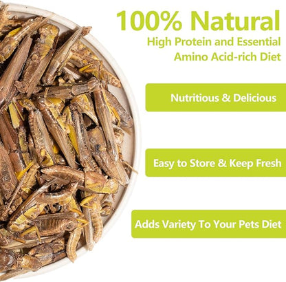 Freeze Dried Grasshoppers – 4.5 Oz High Protein Freeze Dried Grasshoppers for Reptiles, Food for Bearded Dragons Lizards, Geckos, Birds, Hedgehogs