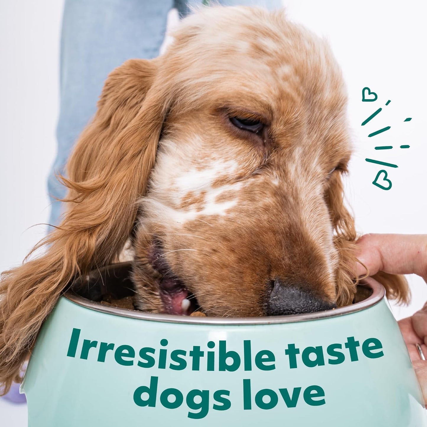 Optimeal Large Breed Dry Dog Food - Promotes Joint Health, Lean Muscles with Skin & Digestive Support, Tasty Protein, Premium Nutrition Made with Natural Ingredients for Medium & Large Adult Dogs