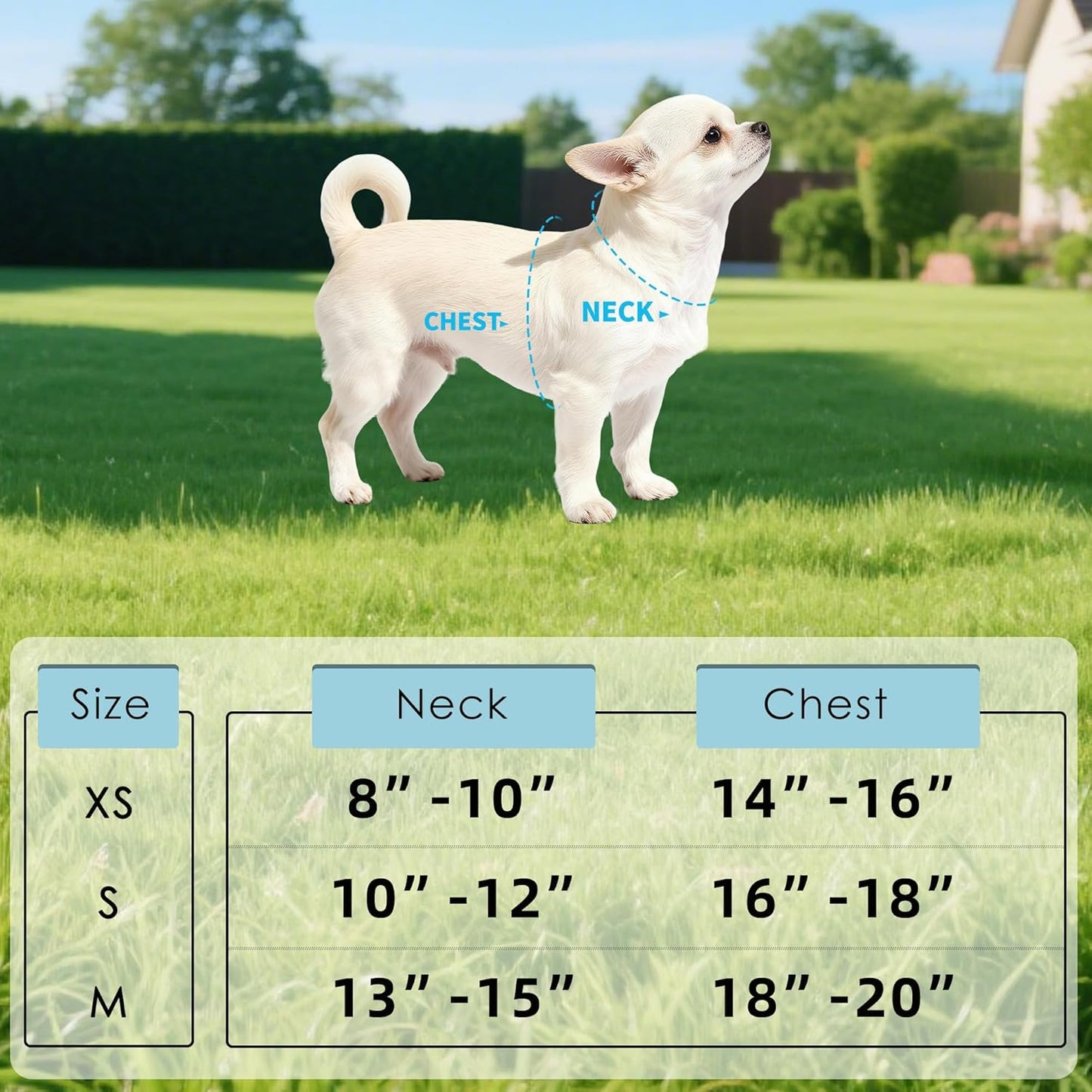 Mile High Life Dog Harness, Air Mesh Floral Vest Harness for 20 lbs Small Dogs & Cats, Easy Get on Adjustable Easy Closures Both Neck and Chest(Lily, S Chest 16"-18")