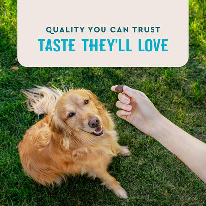 VetIQ Advanced Hip & Joint Chews For Dogs, 60 Count, Chicken Flavored Supplements Made with Glucosamine, Omega 3’s, Chondroitin, MSM & Green Lipped Mussel, Increases Mobility & Maintains Muscles