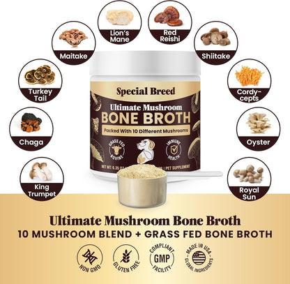 Beef Bone Broth for Dogs - Dog Bone Broth Powder with Ten Organic Mushrooms - High Protein + Ten Mushroom Supplement for Joint Flexibility, Immune Support, Cognition, Vitality, Hydration - 180 Scoops
