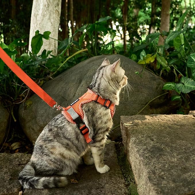 Cat Harness and Leash Escape Proof Large Kitten Harness Ragdoll Cat Vest for Walking Travel, Orange, L