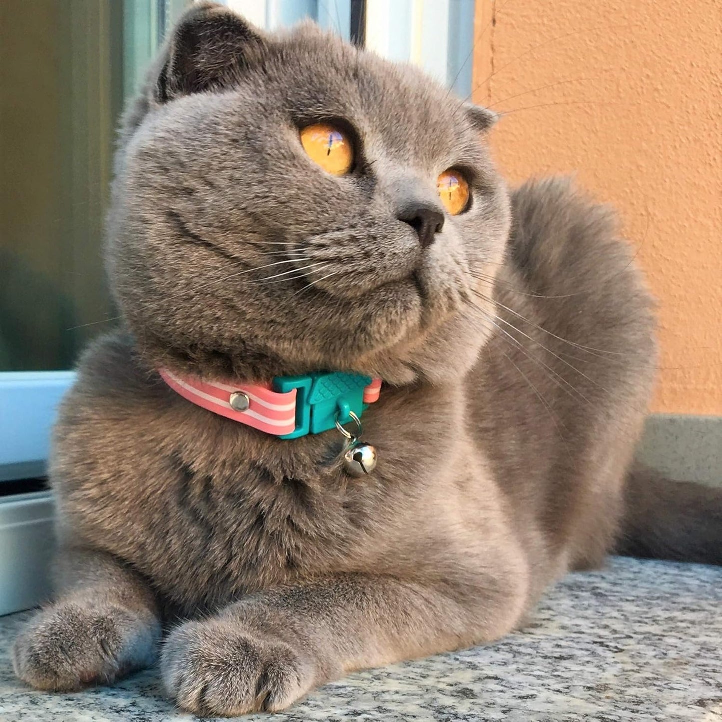 Kittyrama Bermuda Cat Collar with Bell - Breakaway Quick Release, Lightweight, Soft & Comfy