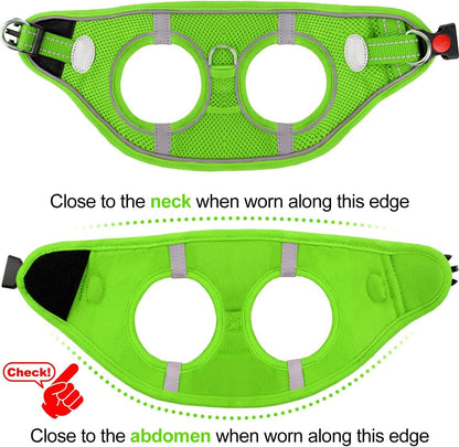 Joytale Small Dog Harness, Breathable Mesh Step-in Vest, Reflective Soft Padded Harnesses Small Sized Dog for Walking, Green, S
