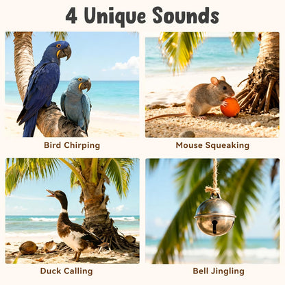 Interactive Cat Toys for Indoor Cats, Hanging Catnip Electric Kitten Toys - Automatic Flying Bird Cat Wand Toy for Bored Indoor with Timer Touch Start