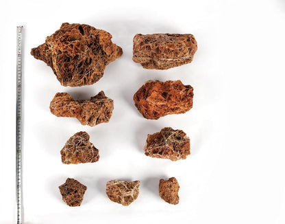 LANDEN Maple Leaves Stone Natural Rocks (18lbs, 3~9 inches,9pcs) for Aquarium, Paludarium, Terrariums, Decorative of Forest Creeks, lakesides, and Streams