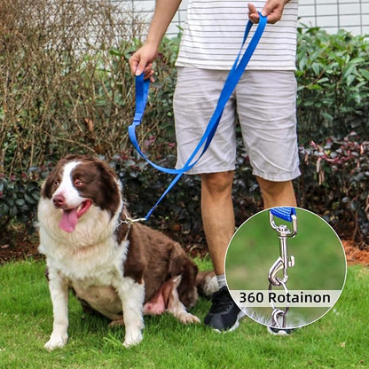 AMAGOOD 6 FT Puppy/Dog Leash, Strong and Durable Traditional Style Leash with Easy to Use Collar Hook, Great for Small, Medium and Large Dogs (1 in x 6 ft(Pack of 1), Blue)