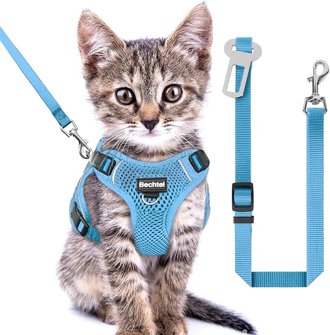 Kitten Harness and Leash Seat, The Upgrade Can be Adjusted in Four Directions and Breathable Cat Harness for Anti Escape That can be Fitted and Positioned, Reflective Strips Harness, Blue, XXS