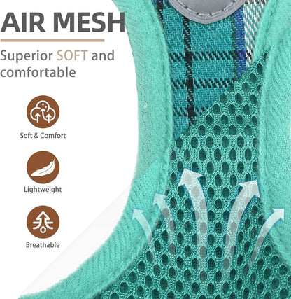 PUPTECK Adjustable Dog Harness Collar and Leash Set Step in No Pull Pet Harness for Small Medium Dogs Puppy and Cats Outdoor Walking Running, Soft Mesh Padded Reflective Vest Harnesses, Lake Green L